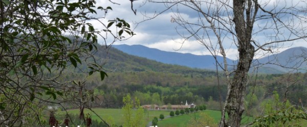 Slideshow Image 3