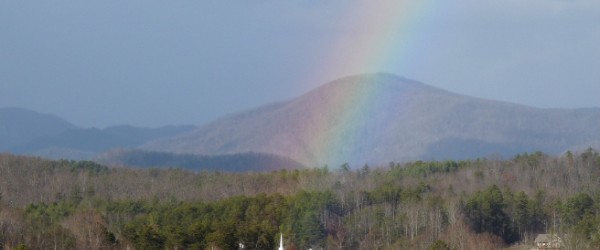 Slideshow Image 5
